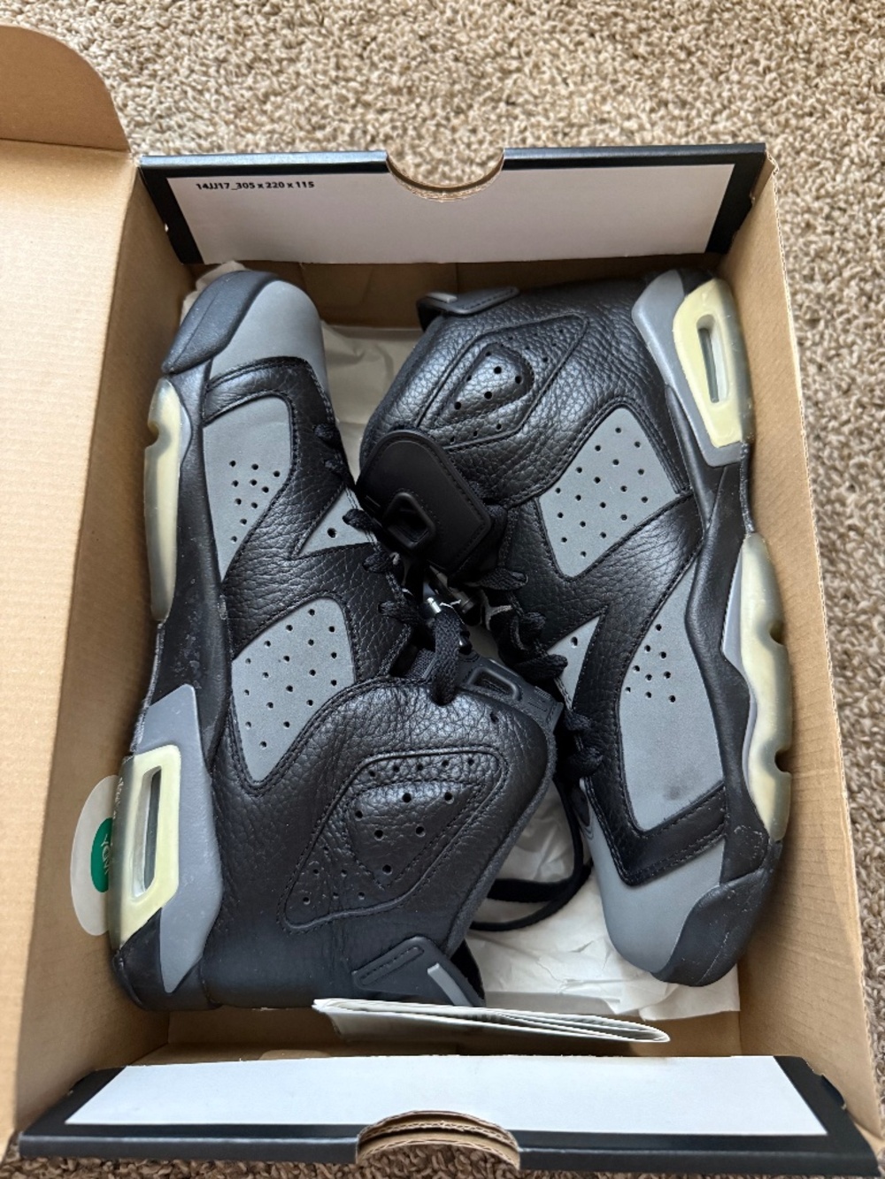 Jordan 6